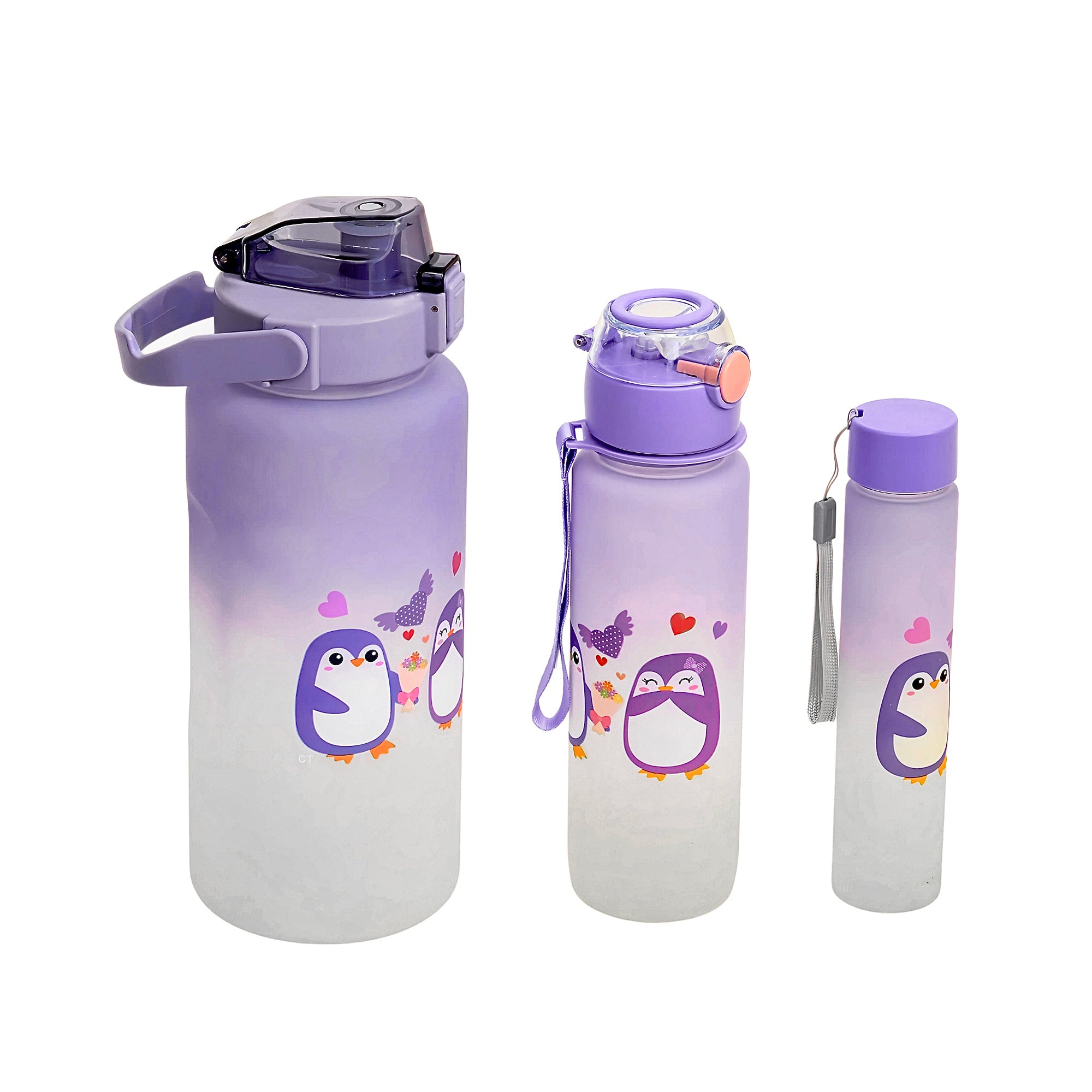 3 PCS WATER BOTTLE WITH STRAW